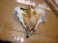 1 tanned RED FOX face fur pelt skin FLY TYING native craft supplies purse bags 9