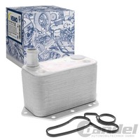 Vemo ÖLkÜHler Automatikgetriebe Passend FüR BMW 3 5 6 7 X3 X5 X6 | V20-60-0042