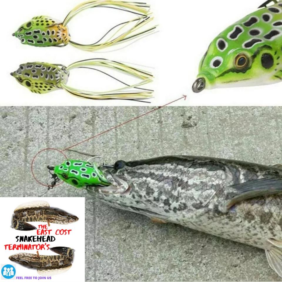 PACK de 5 señuelos de pesca suaves Frog Topwater 2,5 pulgadas 1/4 oz cebo de pesca de lubina NUEVO EE. UU. Foto 3 de 4