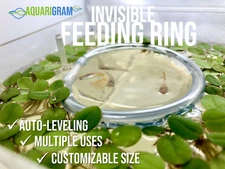 Invisible Feeding Ring (Customizable & Auto-Leveling) Floating Plant Aquariums