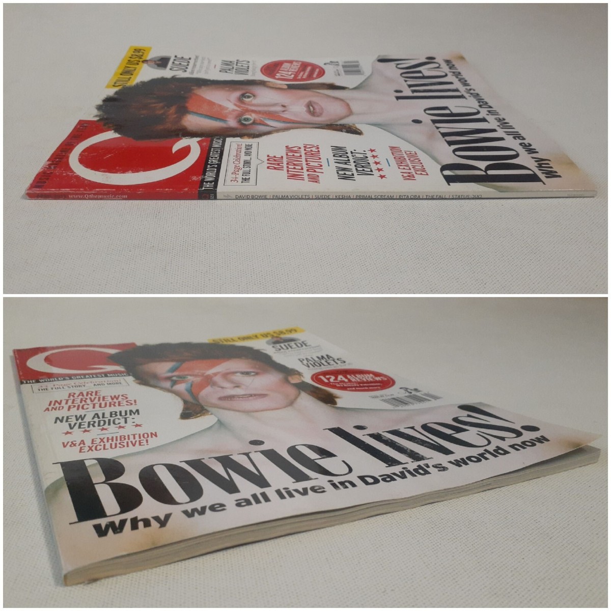 Q David Bowie Palma Violets Suede Kesha Primal Scream Rita Ora Fall Status  Quo F | eBay