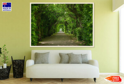 (Laminated) Arch Shaped Trees Photograph 91x61cm