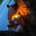 Foto 6 di 11