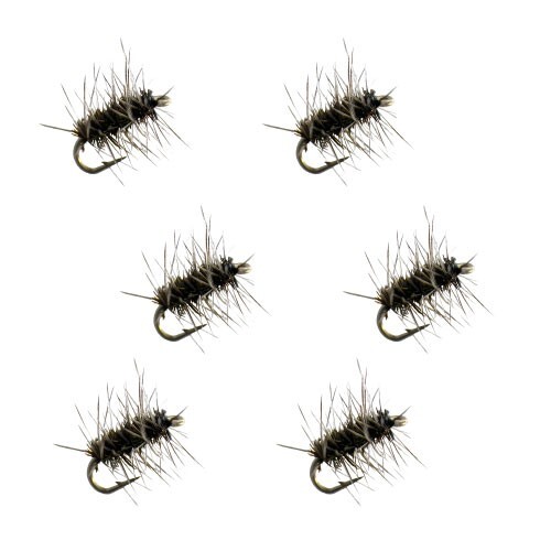 6 Pc Griffin's Gnat Size #16 Dry Fly Fishing Flies Trout, Bluegill, Panfish A