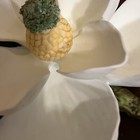 Picture 3 of 24