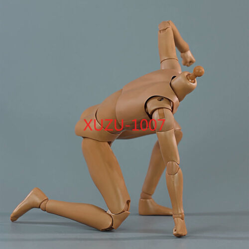 1:6 Scale Muscular Male Action Body Model 12" Action Figure Body For Hot Toys - Picture 4 of 27