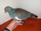 1 Sport Plast Brand Roosting 14" Pigeon Decoy