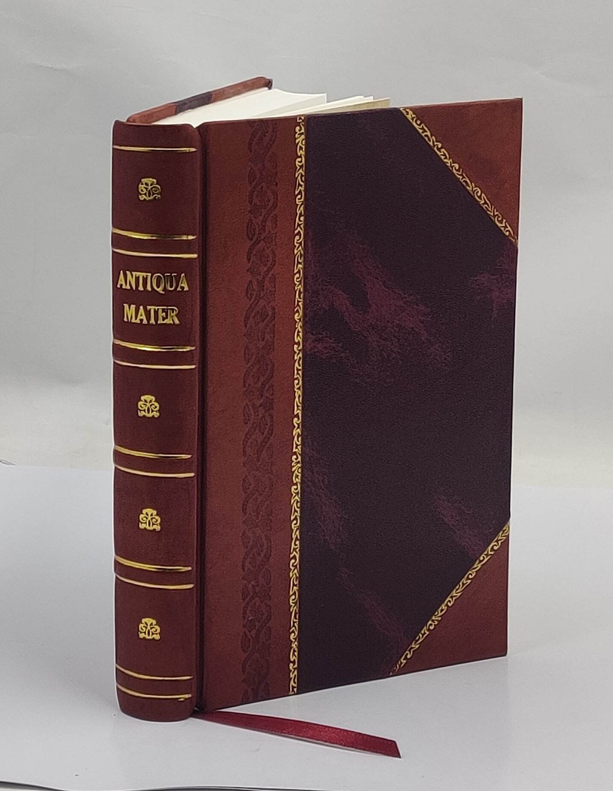 Antiqua mater: A Study of Christian Origins 1887 by Johnson, Edwin Leather Bound