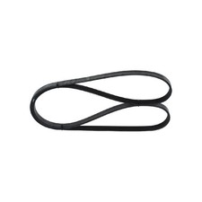 Bosch Keilrippenriemen 524760 1987948480 5PK1450 128024 55350419