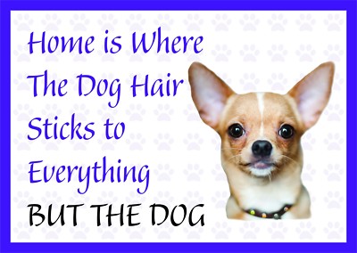 Zuhause ist wo die Hundehaare - lustiger Chihuahua Vinyl Auto Van Aufkleber Sticker Haustier