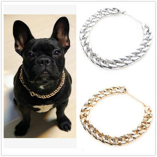 french bulldog with chain