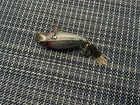 Rare Never Used Vintage Spence Water Scout Lure - Glitter Sparkle — photo 4