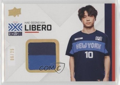 2020 Upper Deck Overwatch League Series 2 Solo Fragments 6/25 Libero Patch 0n8