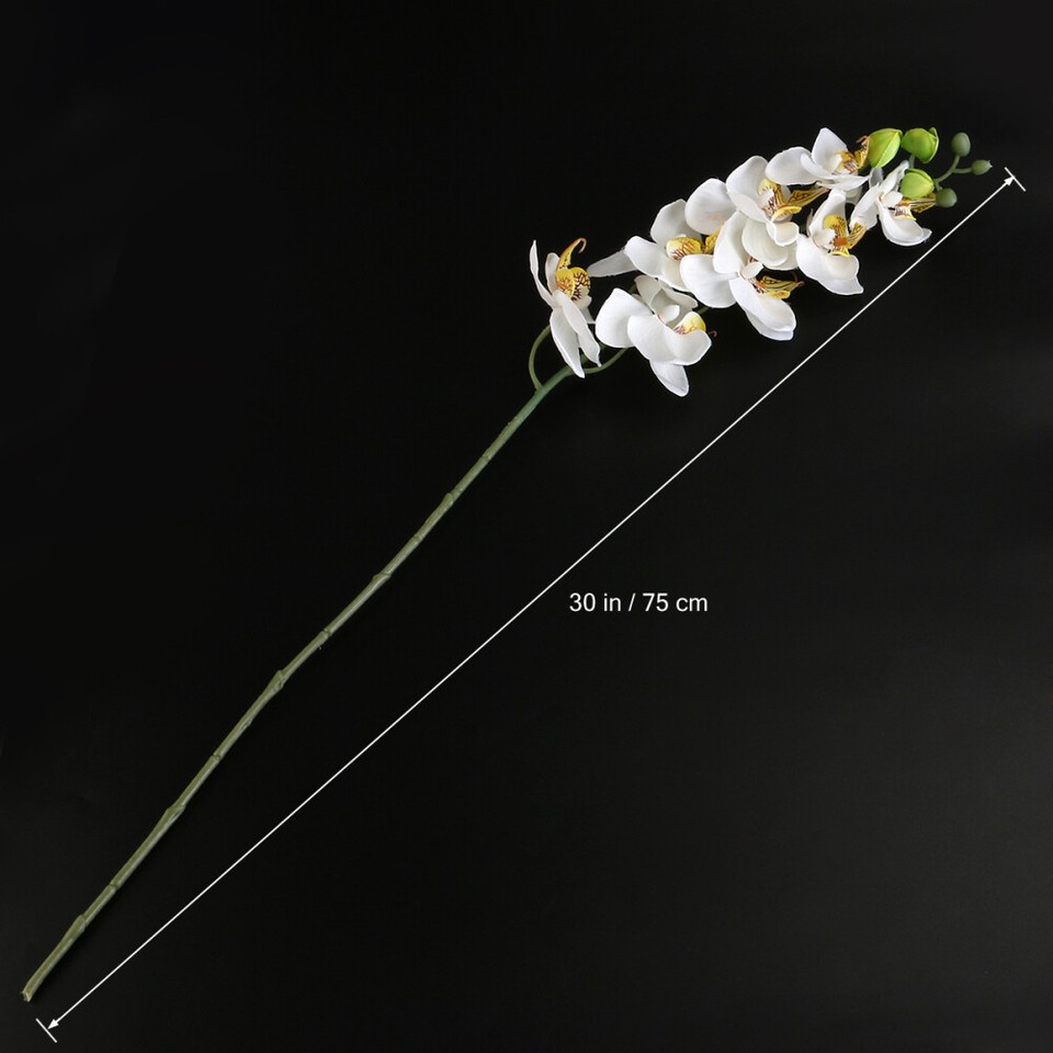 White Phalaenopsis Orchid Fake Flowers Artificial Vase Decor eBay