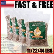 Natural Dried Mealworms Protein Bulk Food for Chicken Fish Turtles Birds 11-44LB