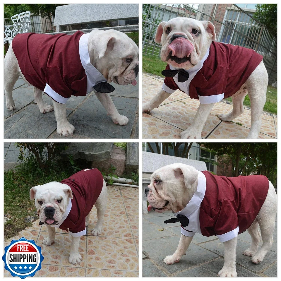 Disfraz de Bulldog Lovelonglong Traje de Perro Esmoquin Formal con Pajarita Negra Boda Foto 4 de 4