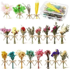 Chengu 20 Pcs Mini Dried Flowers Bouquets Natural As Pictures Shown 