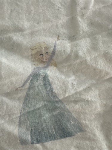 Pottery Barn Kids Frozen Enchanted Forest TWIN Sheet Set Flat Fitted Pillowcase - Picture 7 of 18