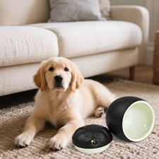 Smiley Dog Shaped Pet Urn 3.2x2.9 inch for Small Dog And Cat Ashes Black,M