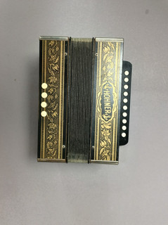 Accordion Hohner Vienna 1140 Pokerwork Antique Door Player 18/19 Century