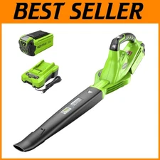 Quiet 150 MPH Leaf Blower, 2.0 Ah Battery