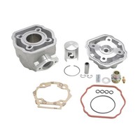 Zylinderkopf 50 FüR Derbi 50 Senda 2006+, GPR 2006+-Gilera 50 SMT 2006+, RCR 20