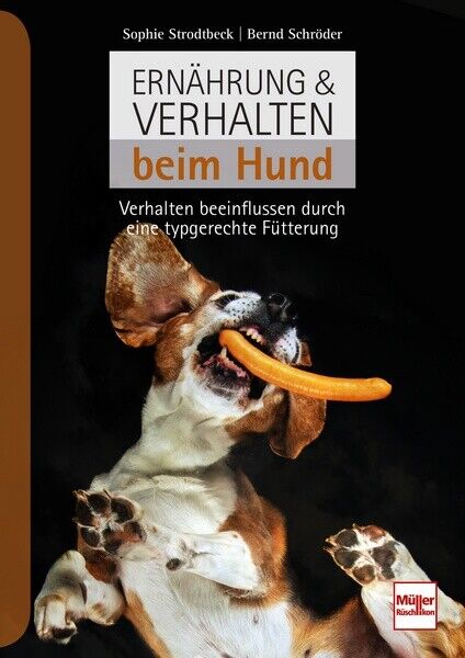 Thumbnail - Ernährung Verhalten Beim Hund Verhalten Beeinflussen Typgerechte