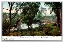Lower Falls Bronx Park New York City NY Detroit Publishing UDB Postcard Y21