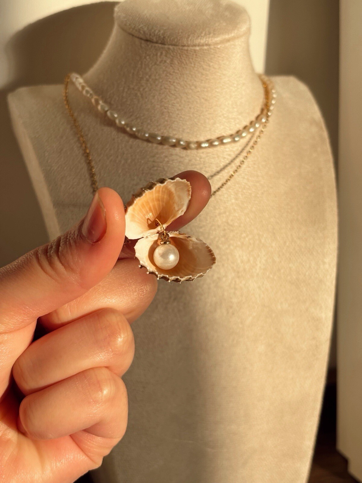 Natural Sea Shell Necklace in Gold Stainless Steel 925 with Hidden Pearl