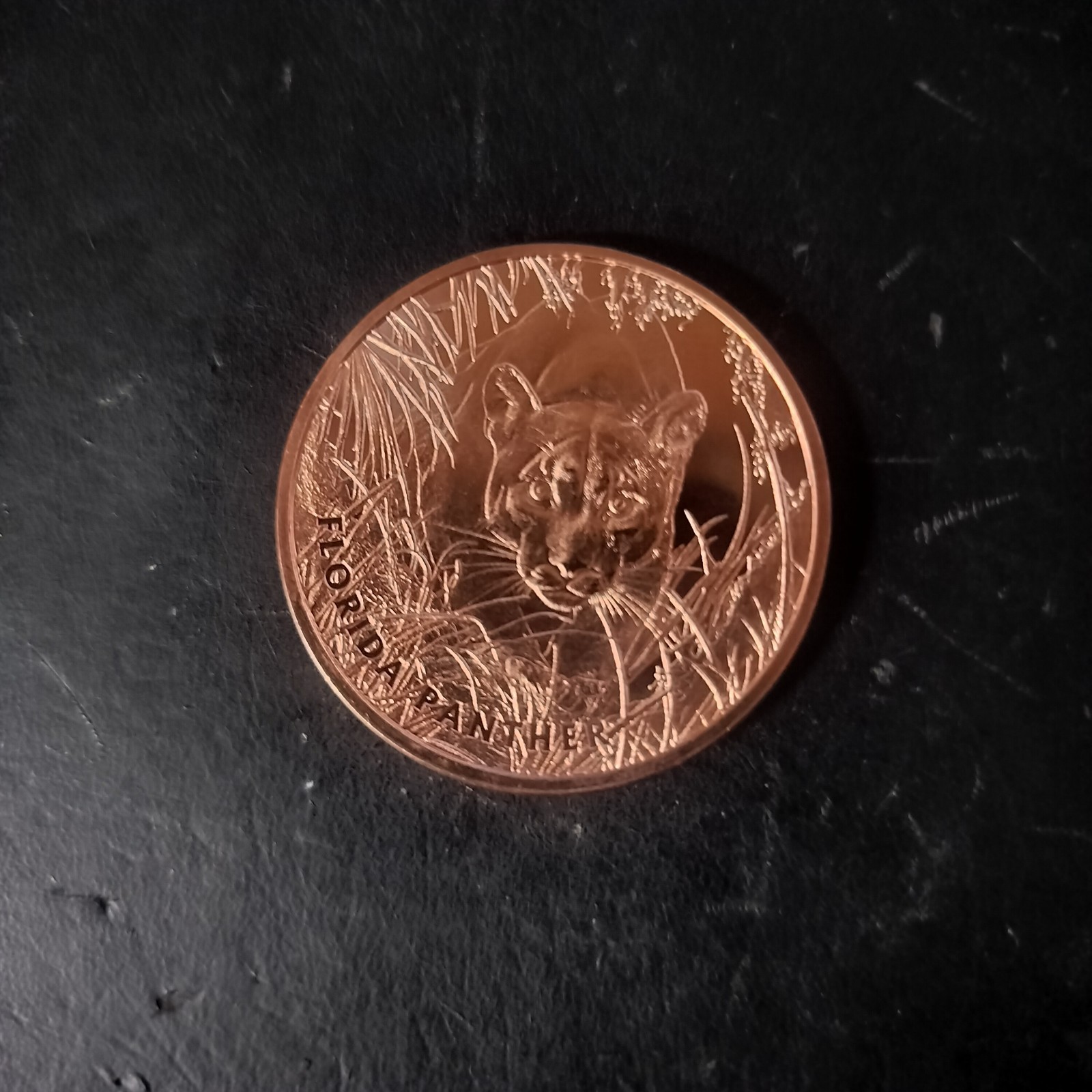 1 oz. Copper BU Coins, Florida Panther  .999 Fine USA Made