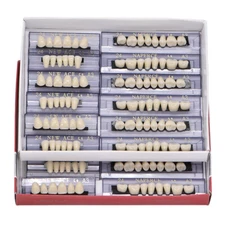 168pc Dental Acrylic Resin Denture 24# A3 Shade False Teeth Full Set Upper Lower