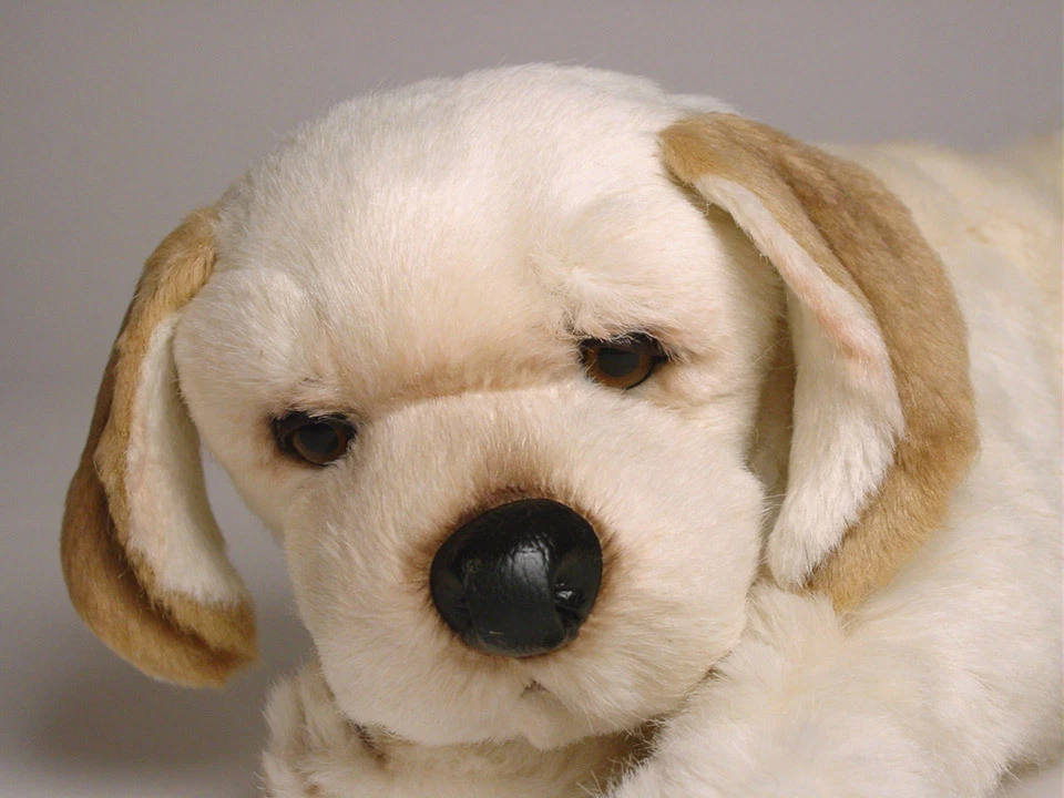 Labrador plush cheap