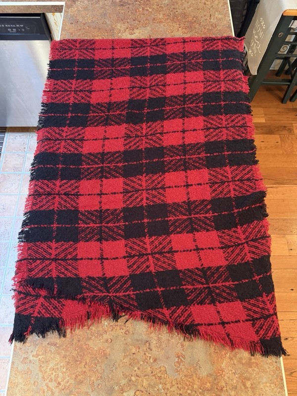 American Eagle Outfitters Women's Plaid Knit Fringe Scarf Red Black Polyester