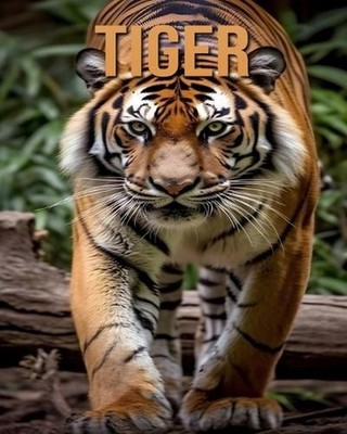 Tiger: Learn About Tiger and Enjoy Amazing Facts & Pictures by Tristan Fairwood 