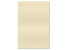 Pacon Ruled Manila Tagboard Sheets