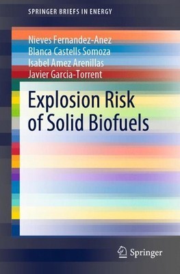 Explosion Risk of Solid Biofuels by Blanca Castells Somoza (English) Paperback B