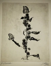 SHELDON (SHELLY) FINK (1925–2002) Original PENCIL SIGNED Naturalist Etching DryP