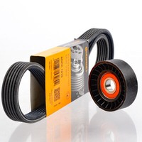 Contitech 6DPK1215 Keilrippenriemen + Rolle FüR Caddy T5 Alhambra VW Seat