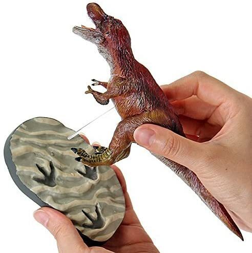 Colorata Discover Feathered Dinosaurs Premium Real figure box New
