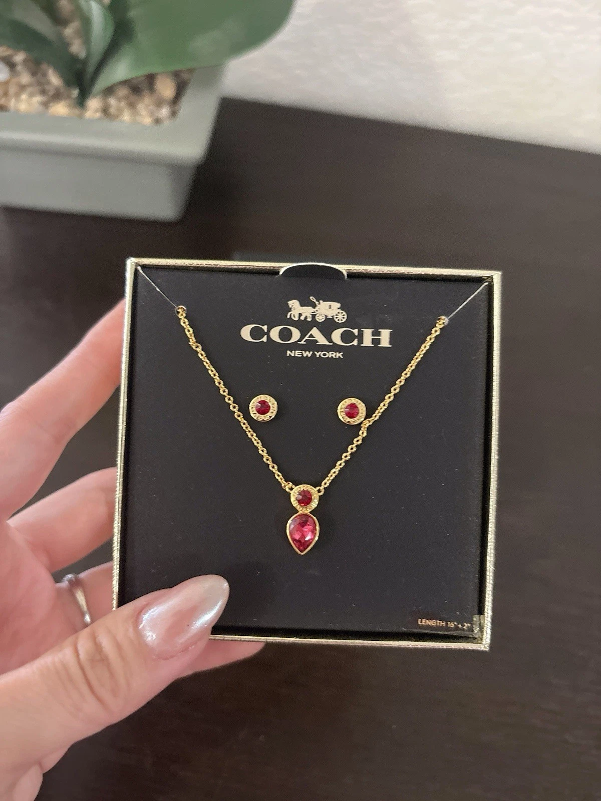 COACH set gioielli allenatore collana orecchini nuovi