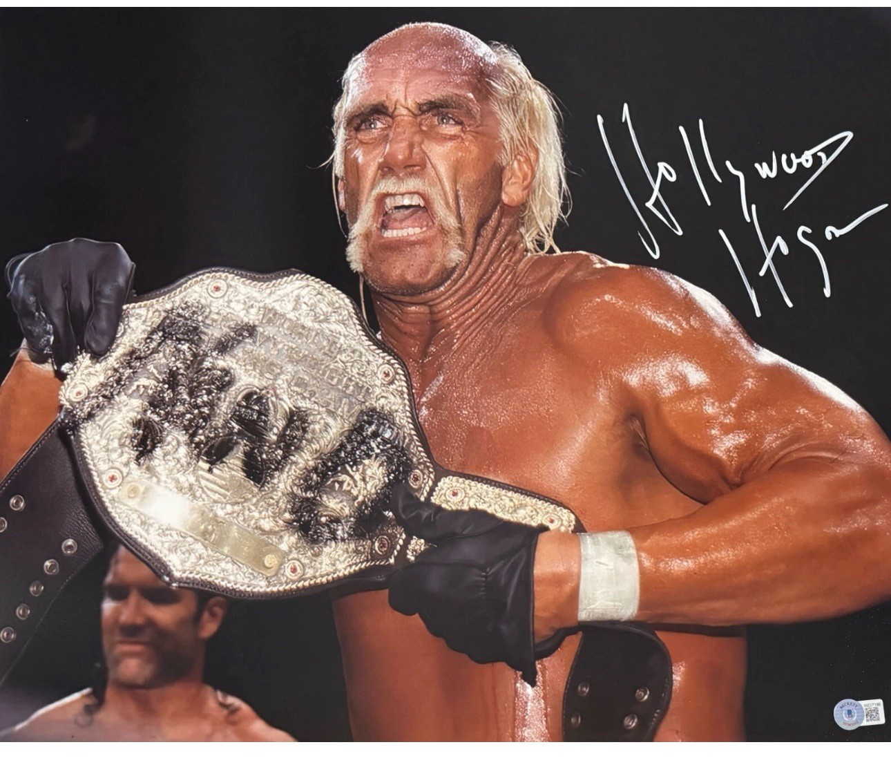 Hulk Hogan Autographed Signed Hollywood 16x20 Photo W/ BAS Witness COA 