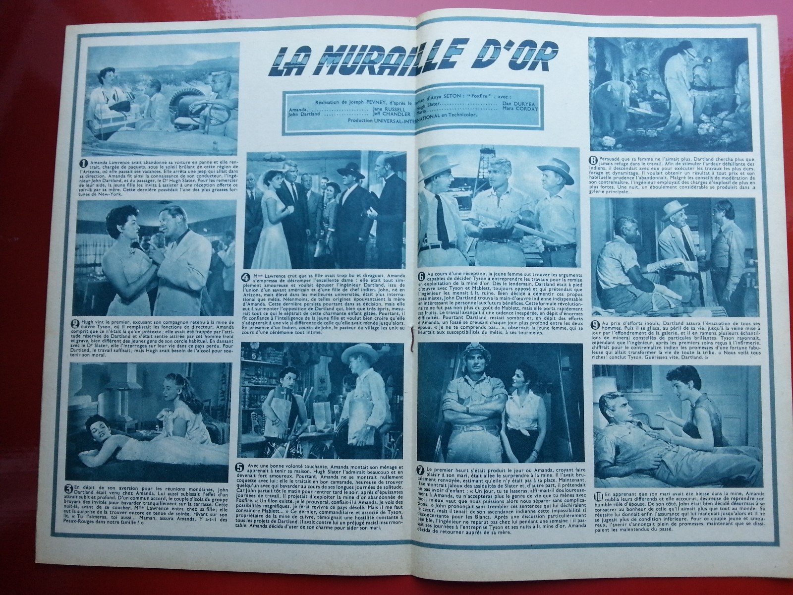 Imagen 2 de 3