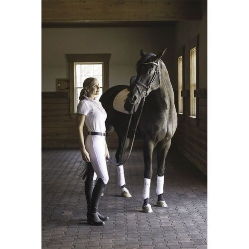 NEW FITS Riding Breeches Full Seat- Size Small, White and Black - Picture 4 of 7