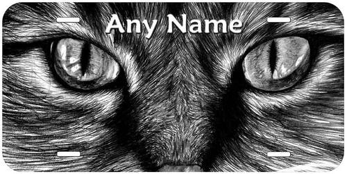 Matrícula de coche novedad personalizada con ojos de gato cualquier nombre texto - Imagen 13 de 24