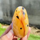 Foto 1 di 10