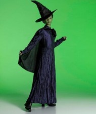 Elphaba Deluxe Wicked Witch Musical Movie Fancy Halloween Child Costume Sz Med