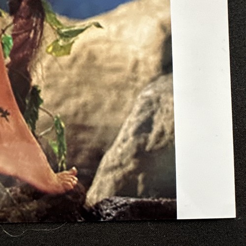 Autogramm 8x10 Brande Roderick Playmate Of The Year 2001 PSA DNA Glossy Eden - Bild 4 von 9