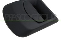 AußEngriff TüR FT9268002 Prasco FüR Iveco