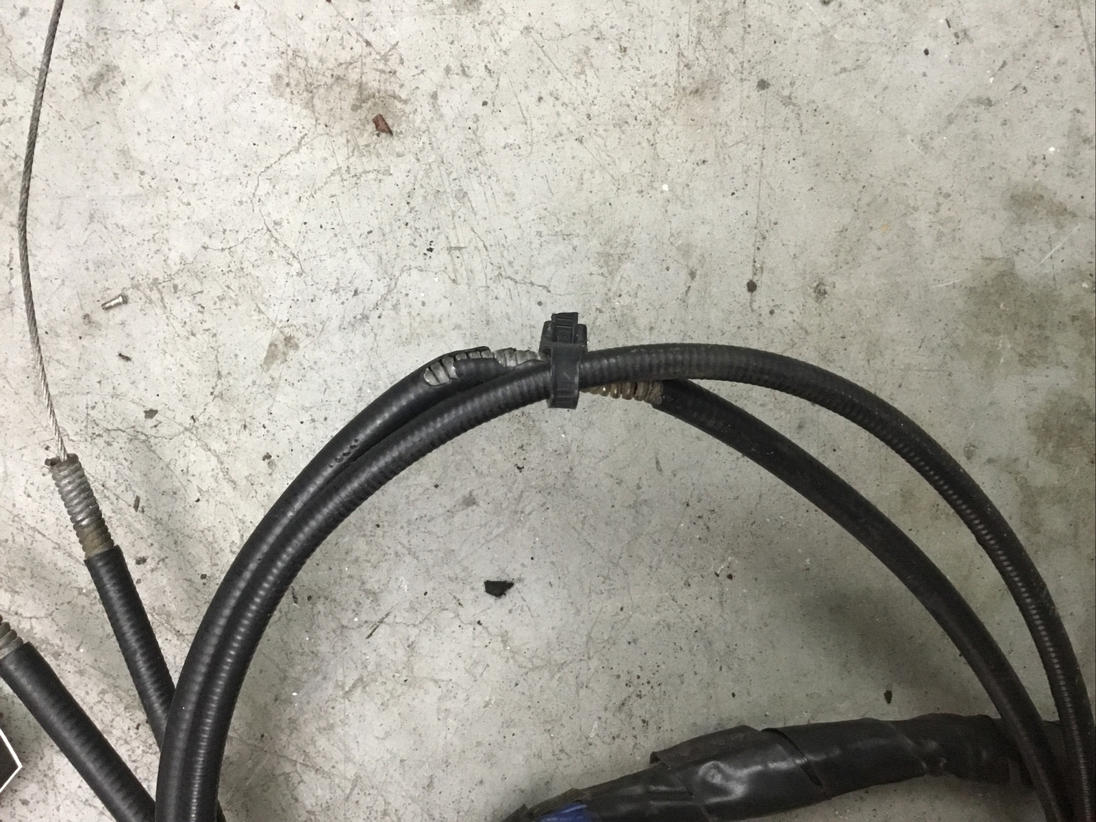 Picture 4 of 12