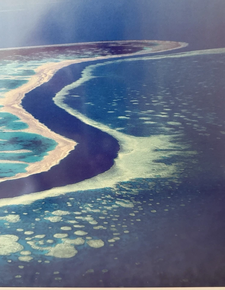 Peter Lik "Gran Barrera de Coral" Australia Impresión Enmarcada 41.25” X 15.75” RARO Foto 4 de 4